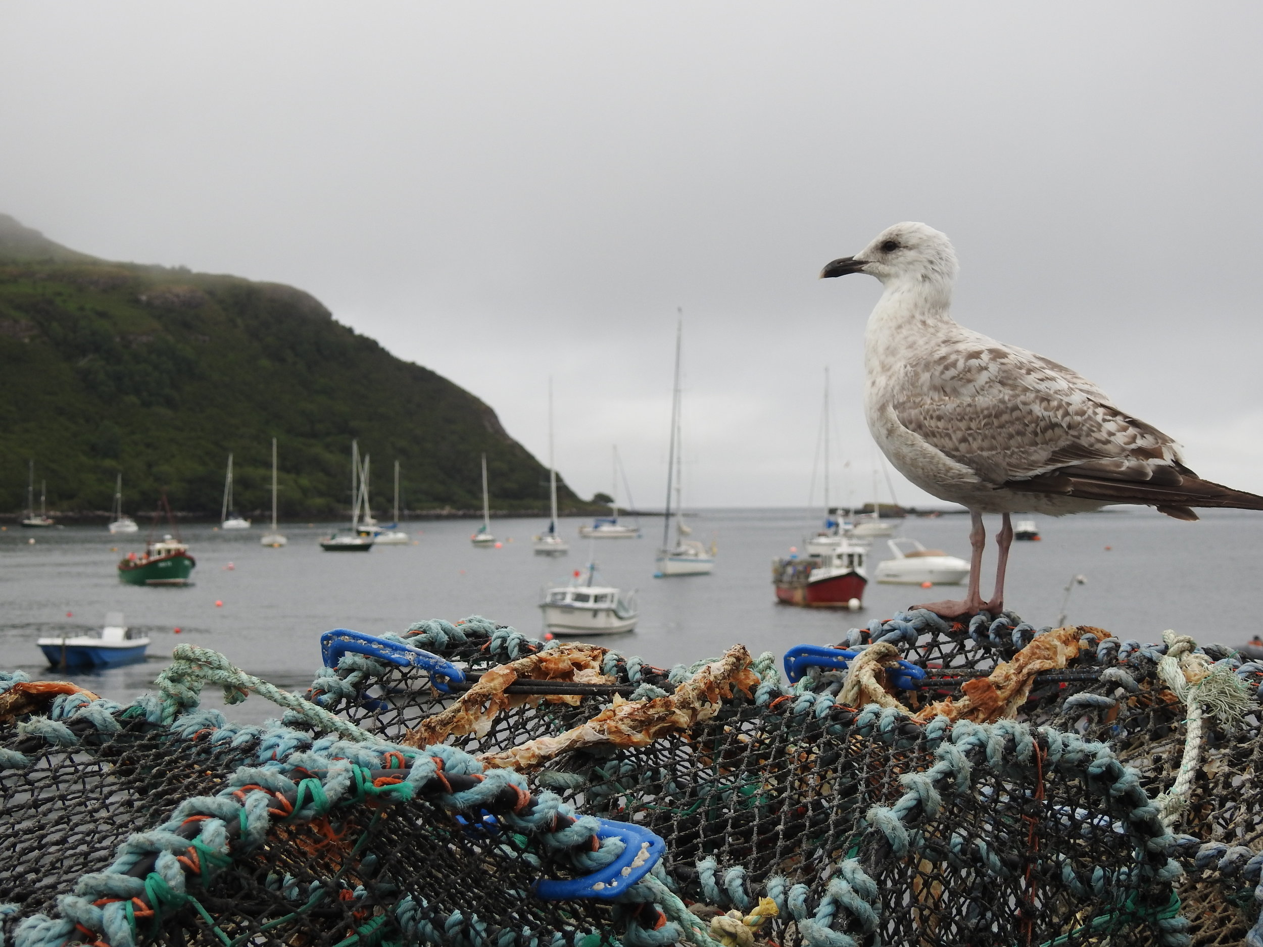 Portree, Scotland