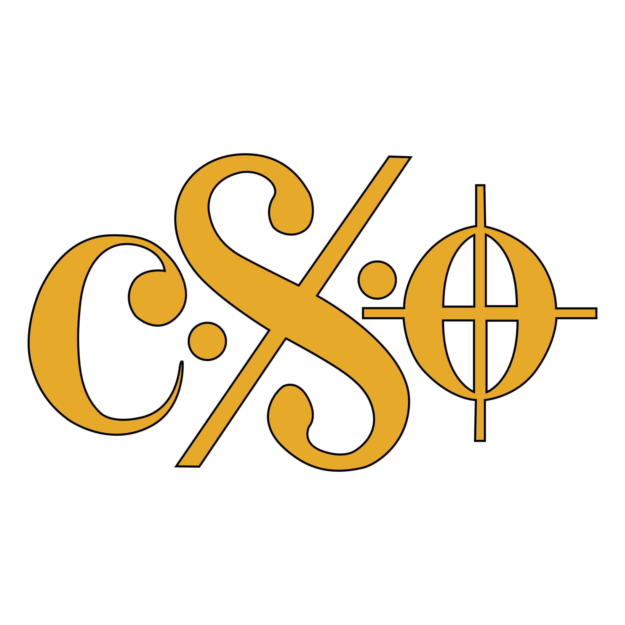 Cavalier Symphony Orchestra