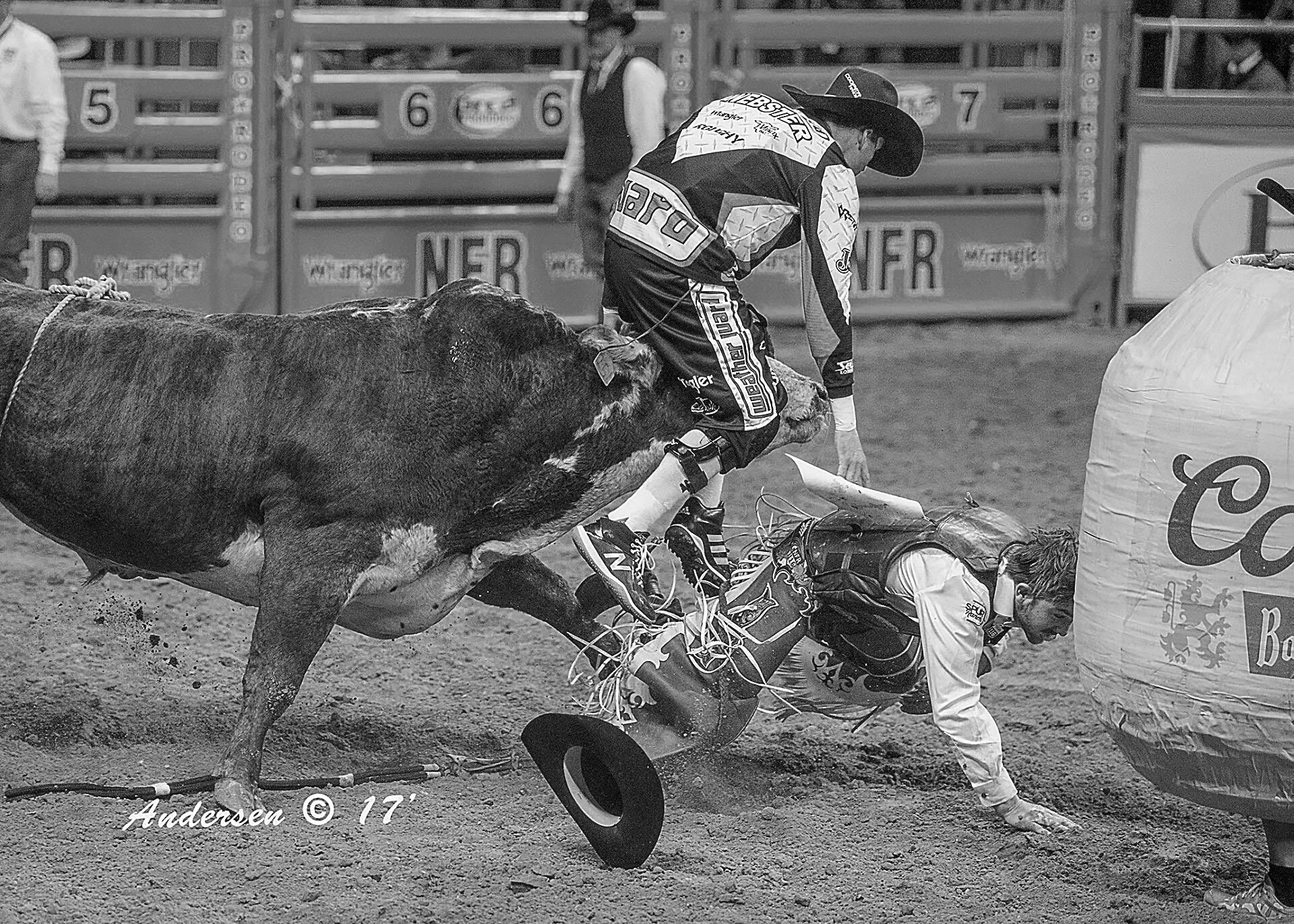 Seven-Time PBR World Finals Bullfighter Cody Webster is Gearing Up for Fort  Worth - The Cowboy Channel