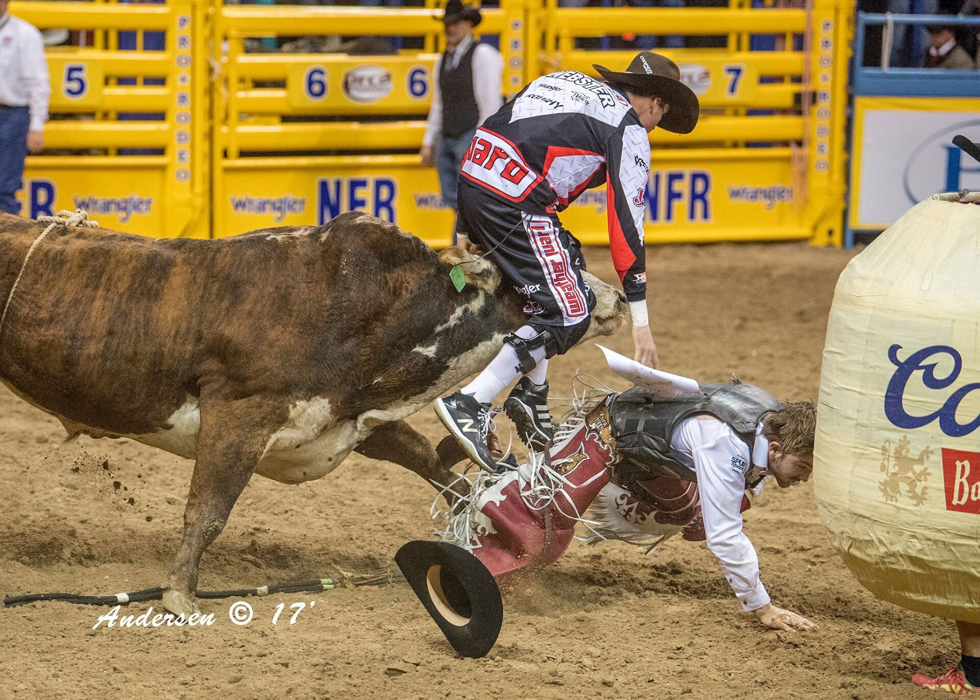 Cody Webster Professional Bullfighter