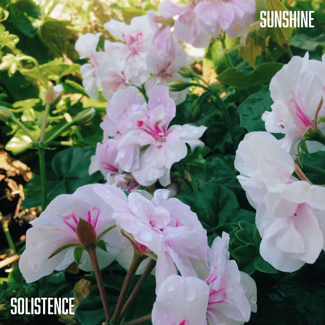 Sunshine (Artwork) (1080 × 1080).jpg