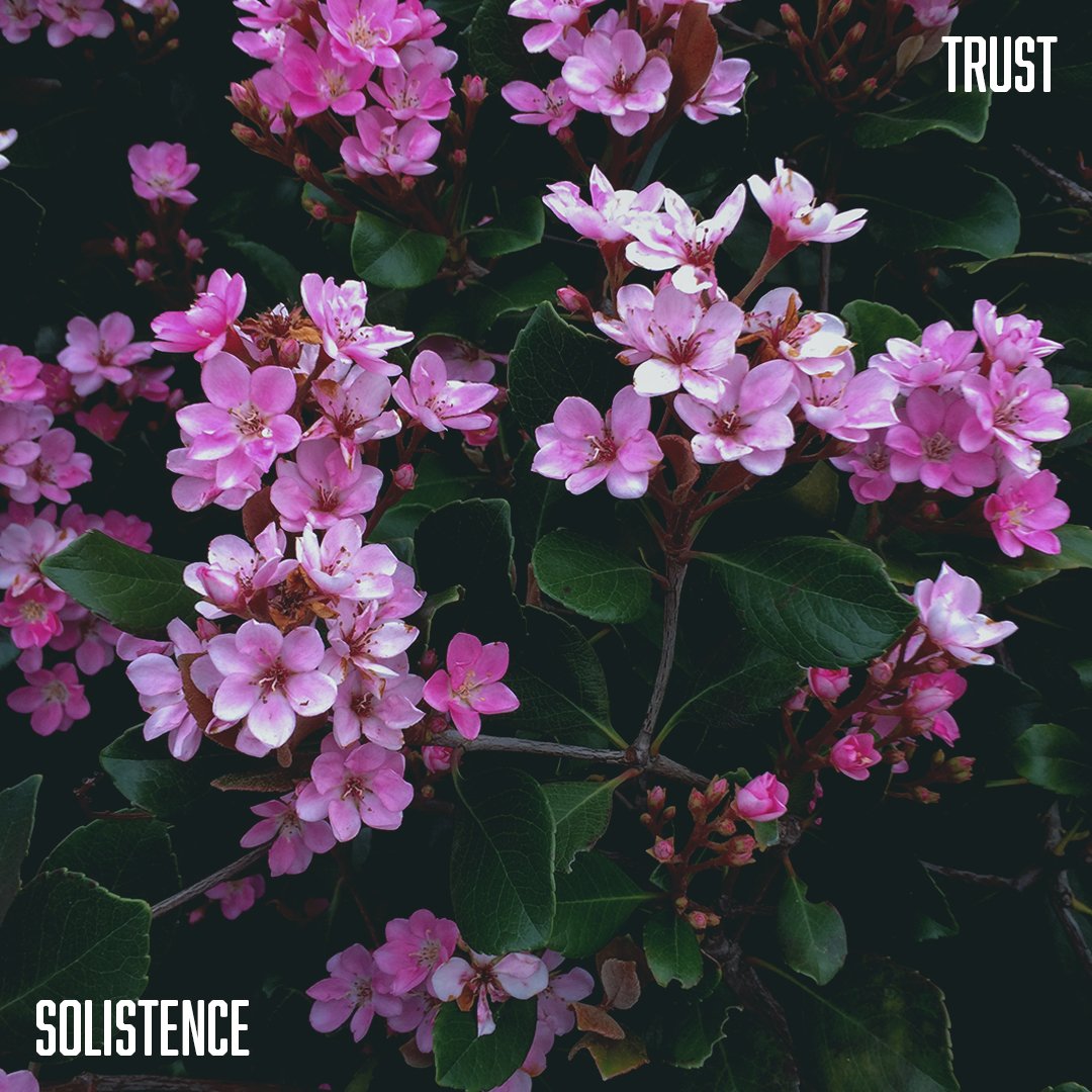 Trust (Artwork) (1080 × 1080).jpg