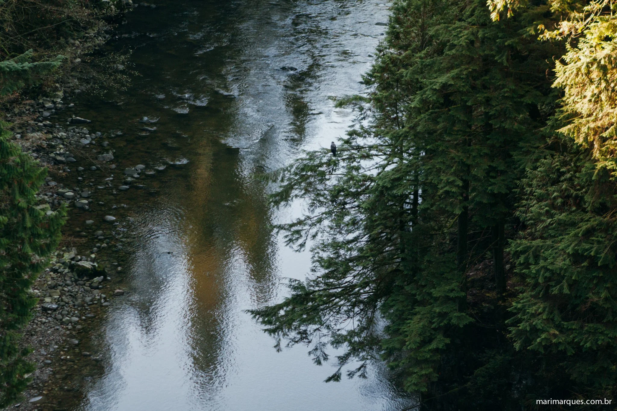 Fotografia-Viagem-Vancouver-MarianaMarques-66.jpg
