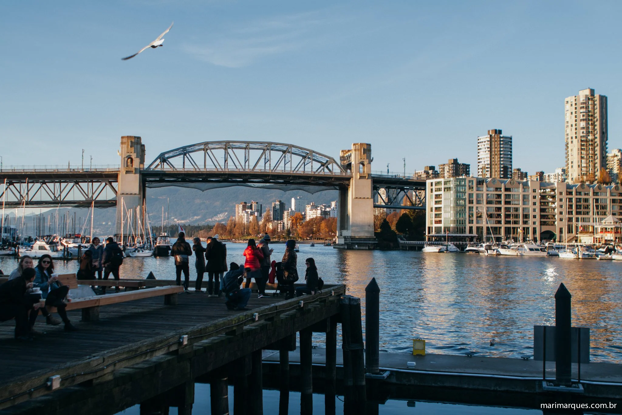 Fotografia-Viagem-Vancouver-MarianaMarques-93.jpg