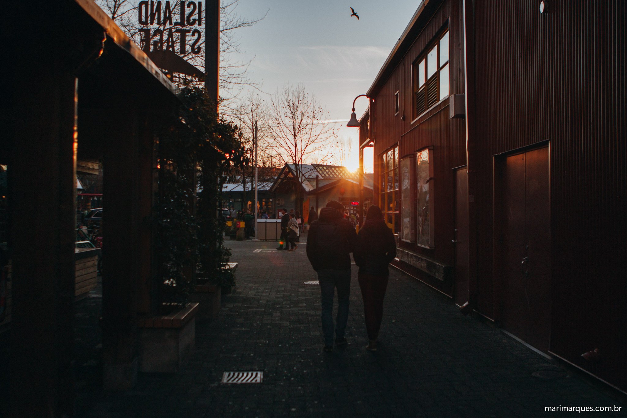 Fotografia-Viagem-Vancouver-MarianaMarques-100.jpg