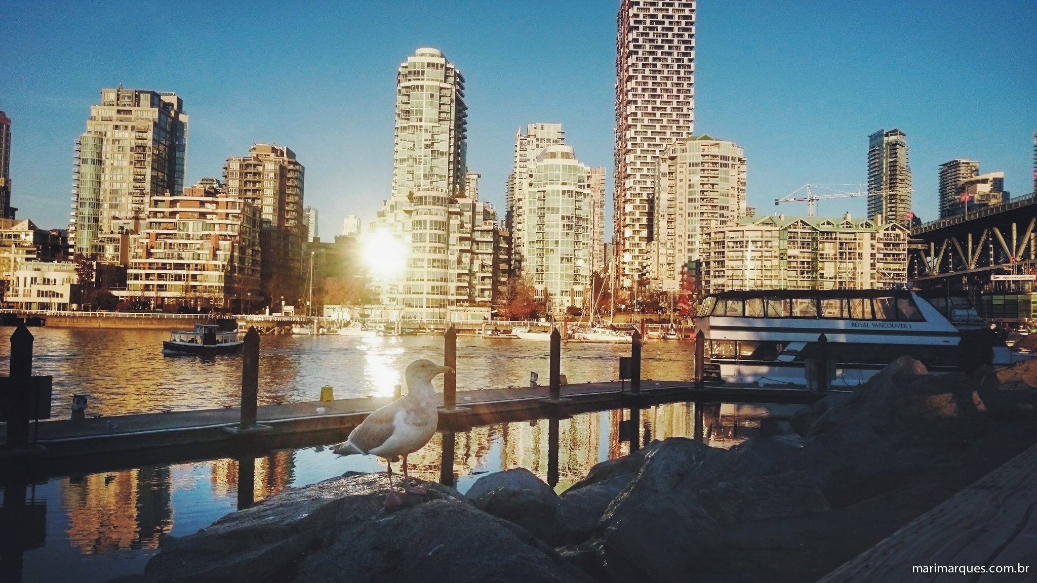 Fotografia-Viagem-Vancouver-MarianaMarques-135.jpg