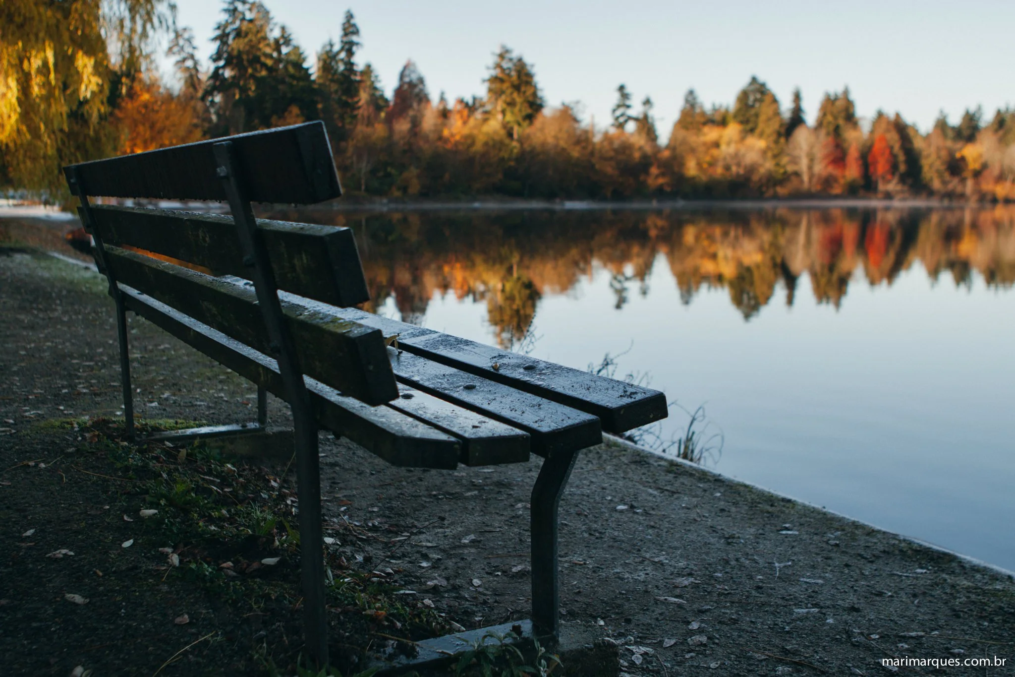 Fotografia-Viagem-Vancouver-MarianaMarques-111.jpg