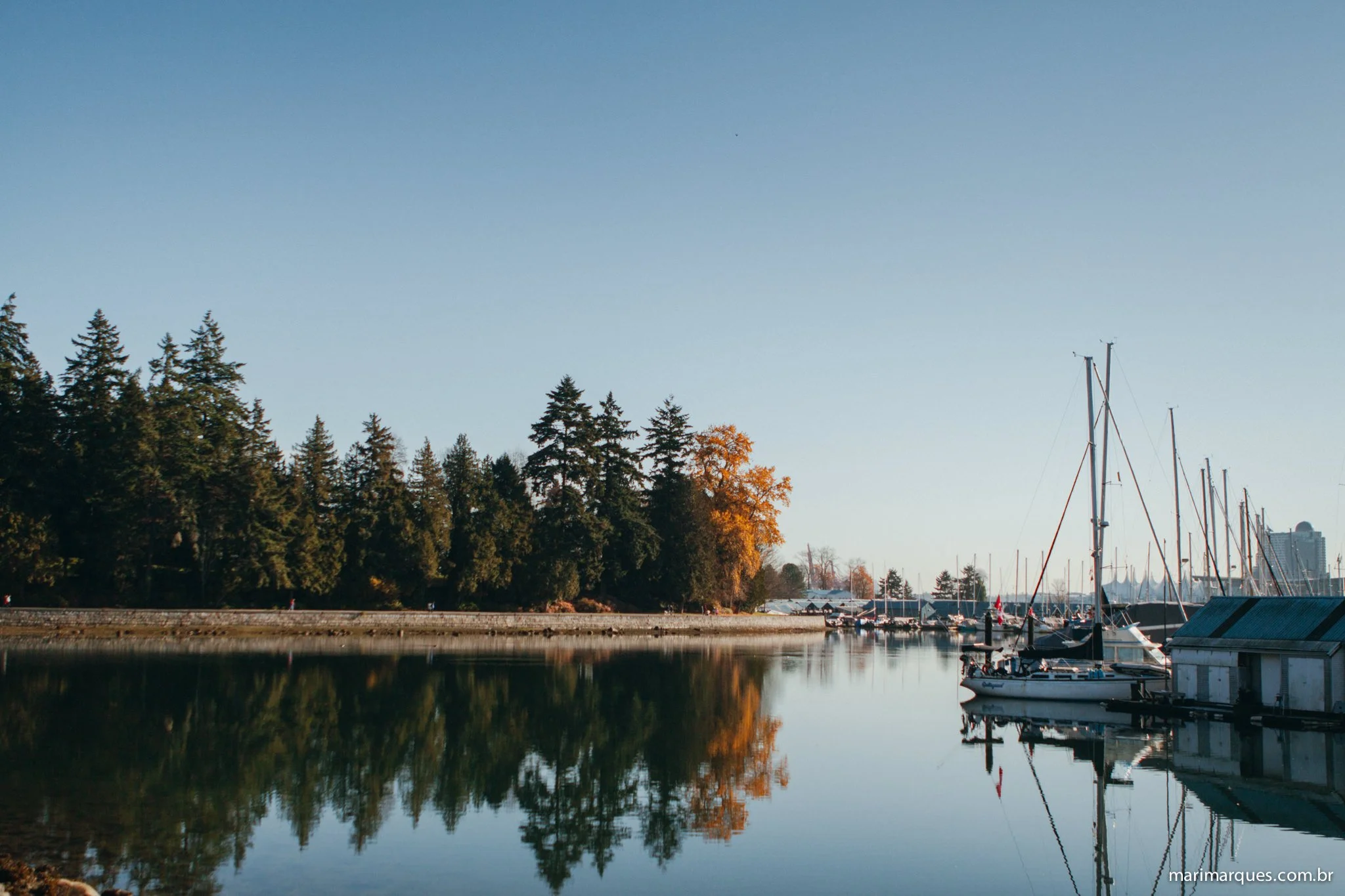 Fotografia-Viagem-Vancouver-MarianaMarques-119.jpg