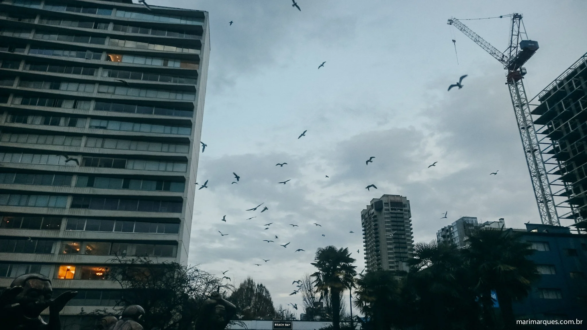 Fotografia-Viagem-Vancouver-MarianaMarques-131.jpg