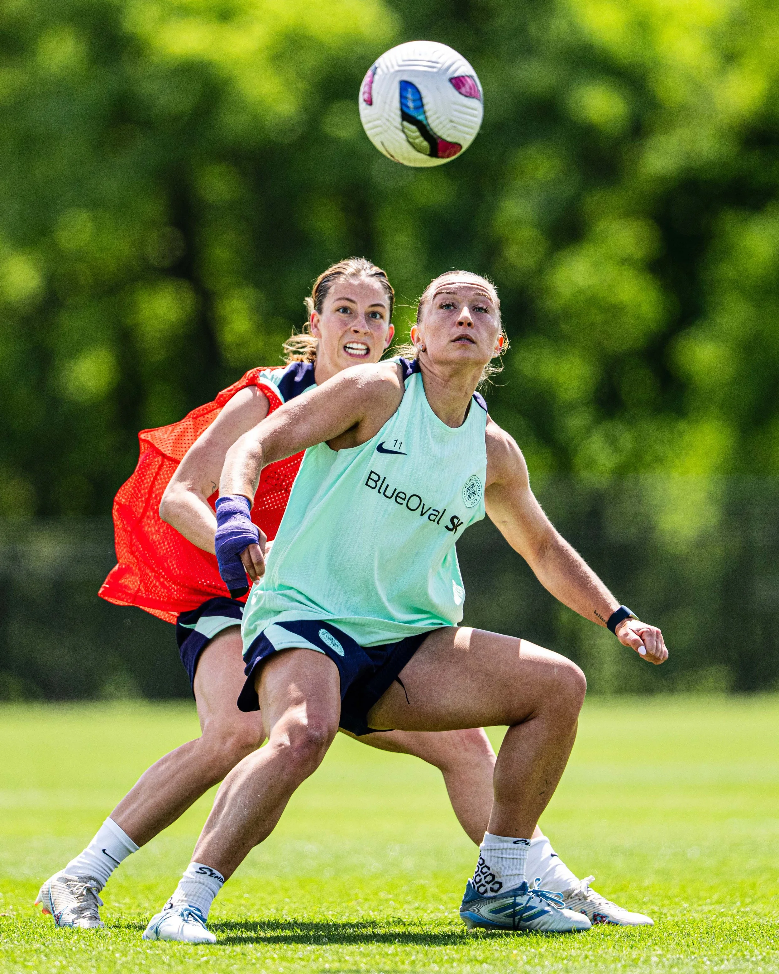 website_ctc_73132.jpg