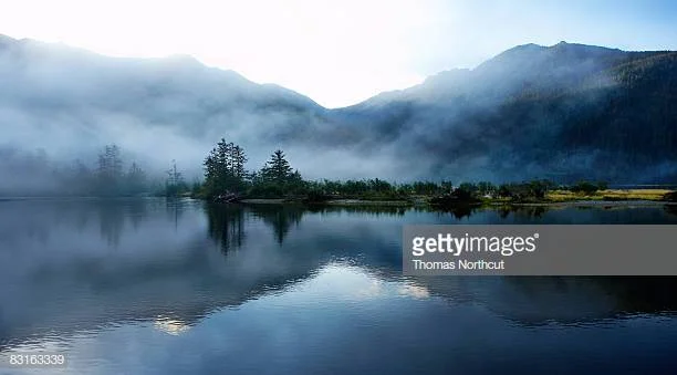 Photo by Thomas Northcut/DigitalVision / Getty Images