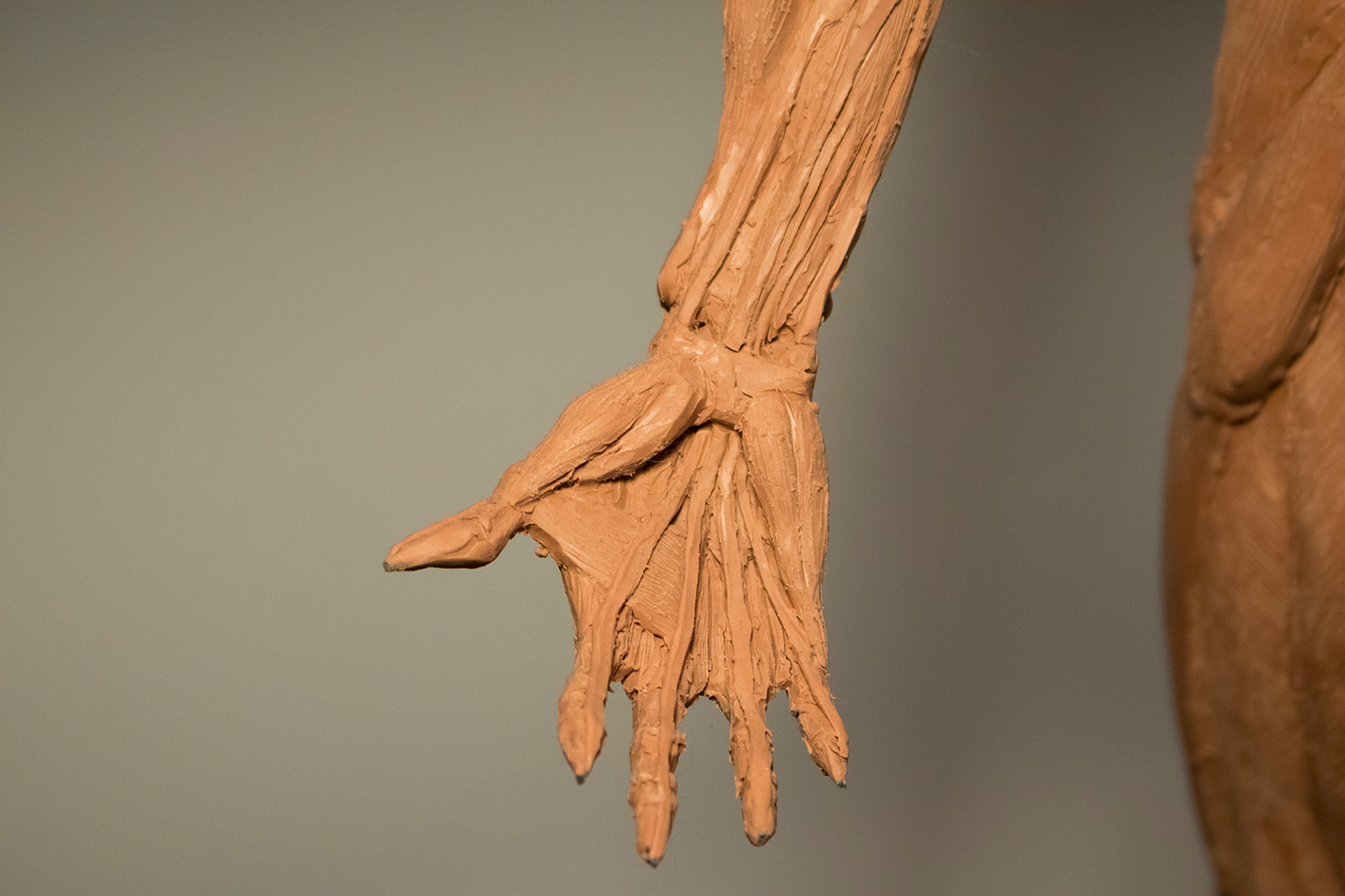 IMG_5268.png