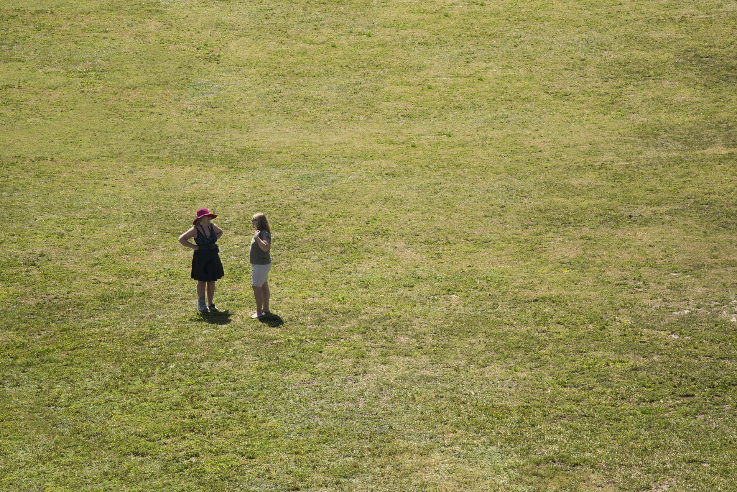 grass.jpg