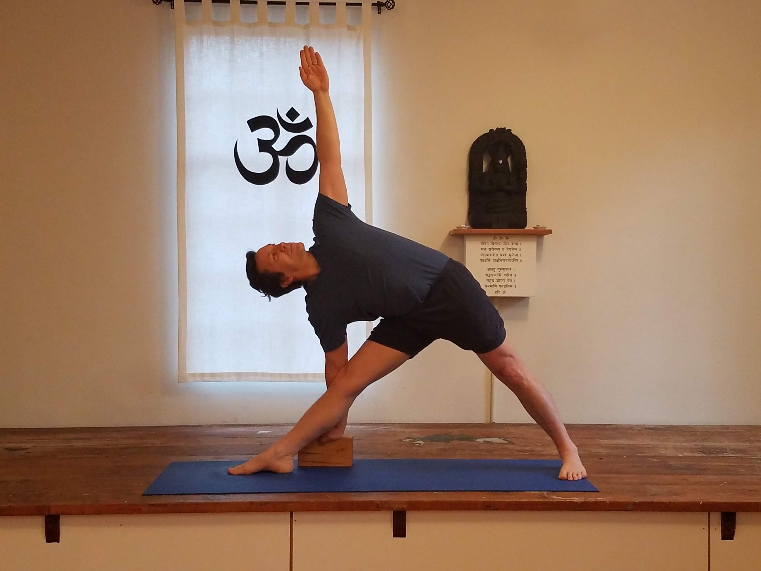 Yoga Asana Anatomy' by Dr. Hermann Traitteur — Lois Steinberg