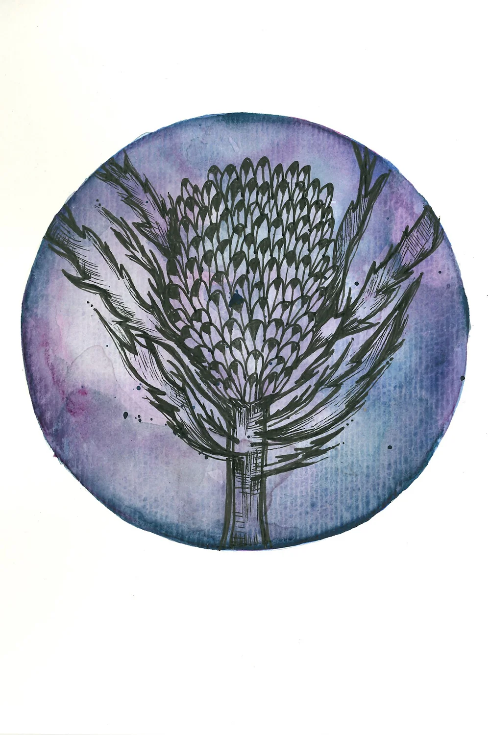 Botanical Illustration 007