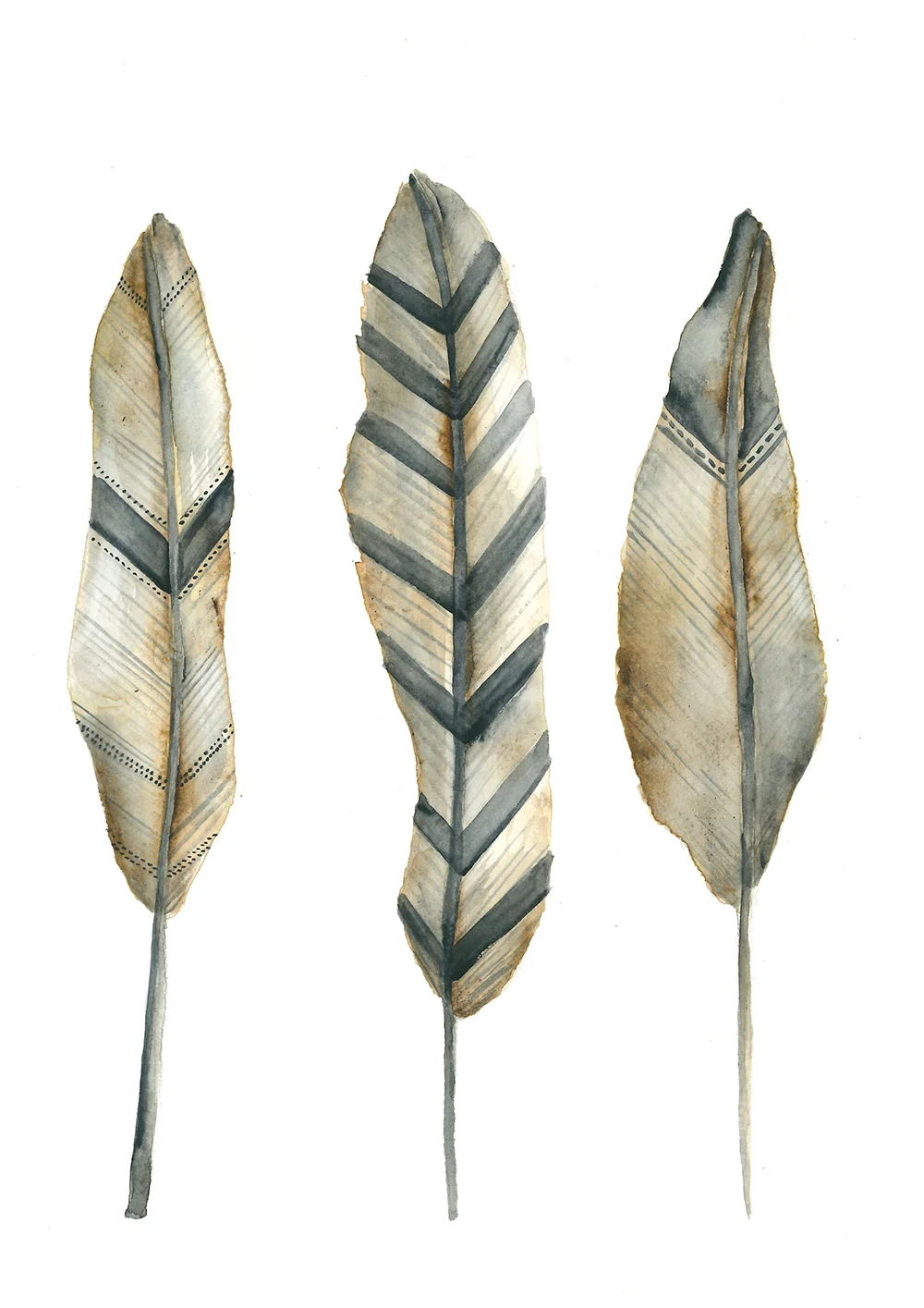 Feathers 001