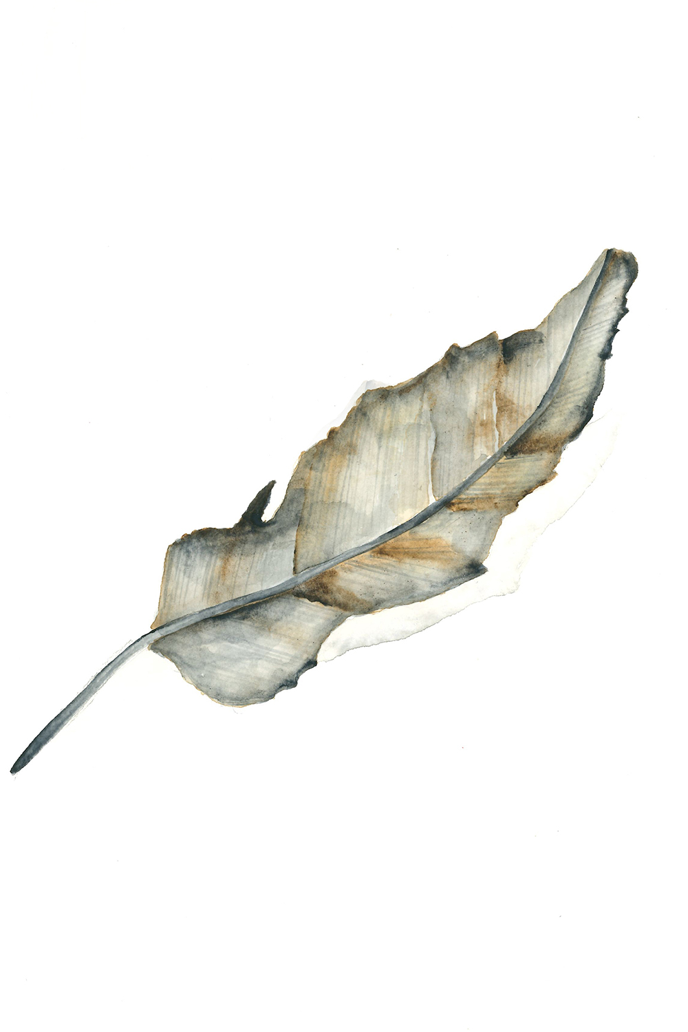 Botanical leaves 001