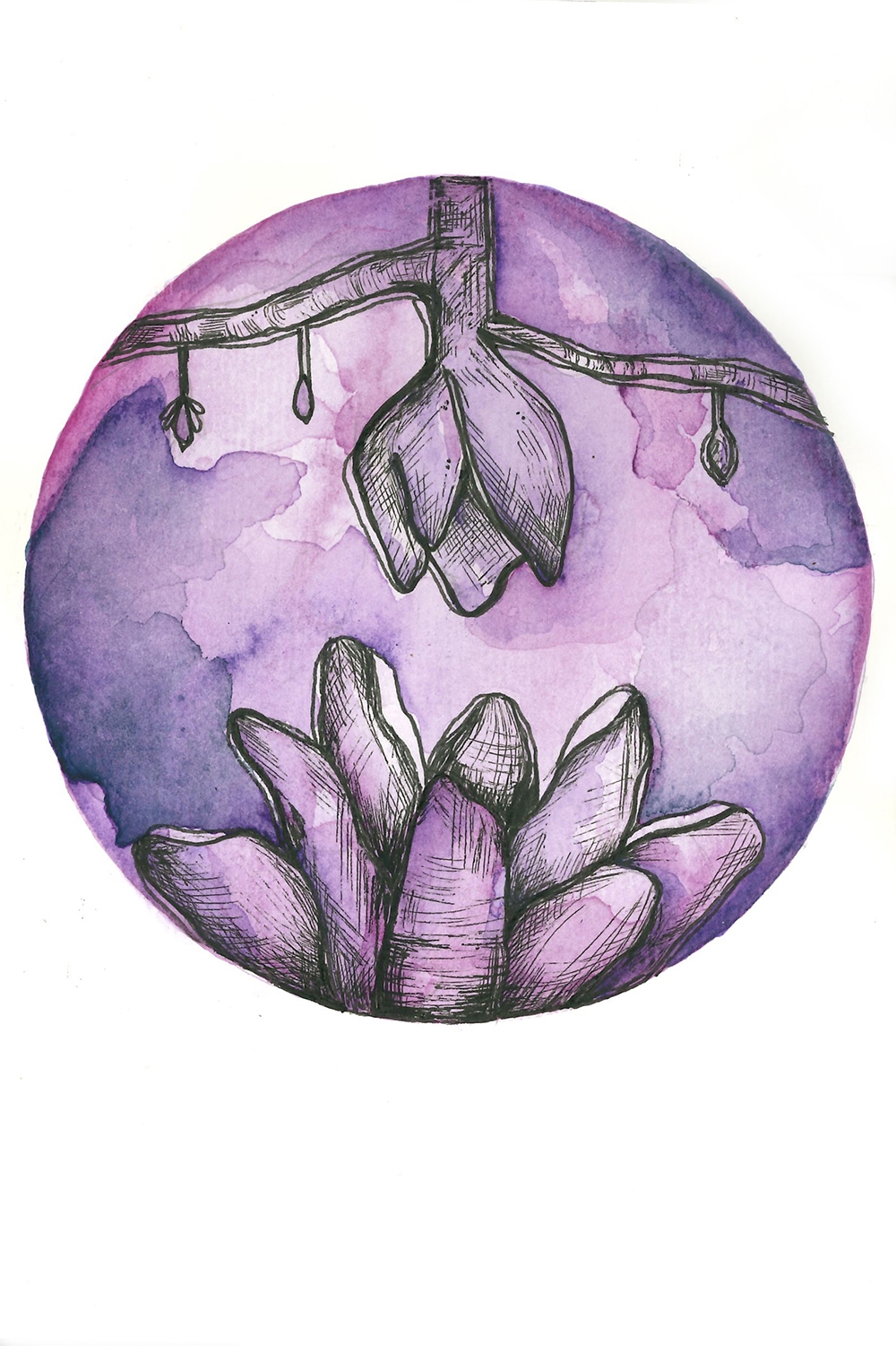 Botanical Illustration 001
