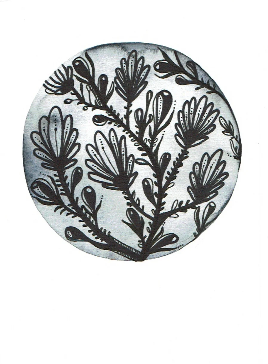 Botanical Illustration 010