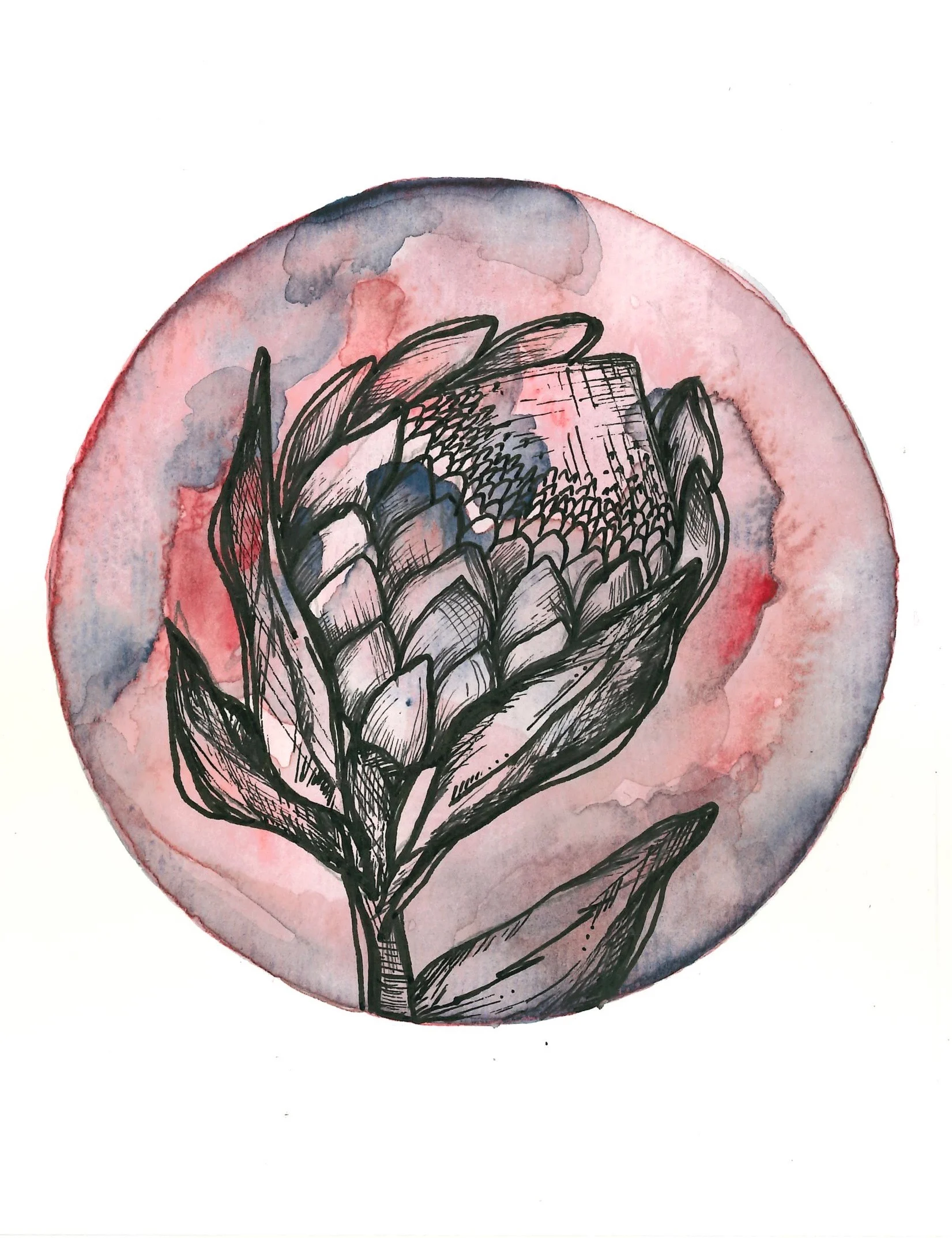 Botanical Illustration 003