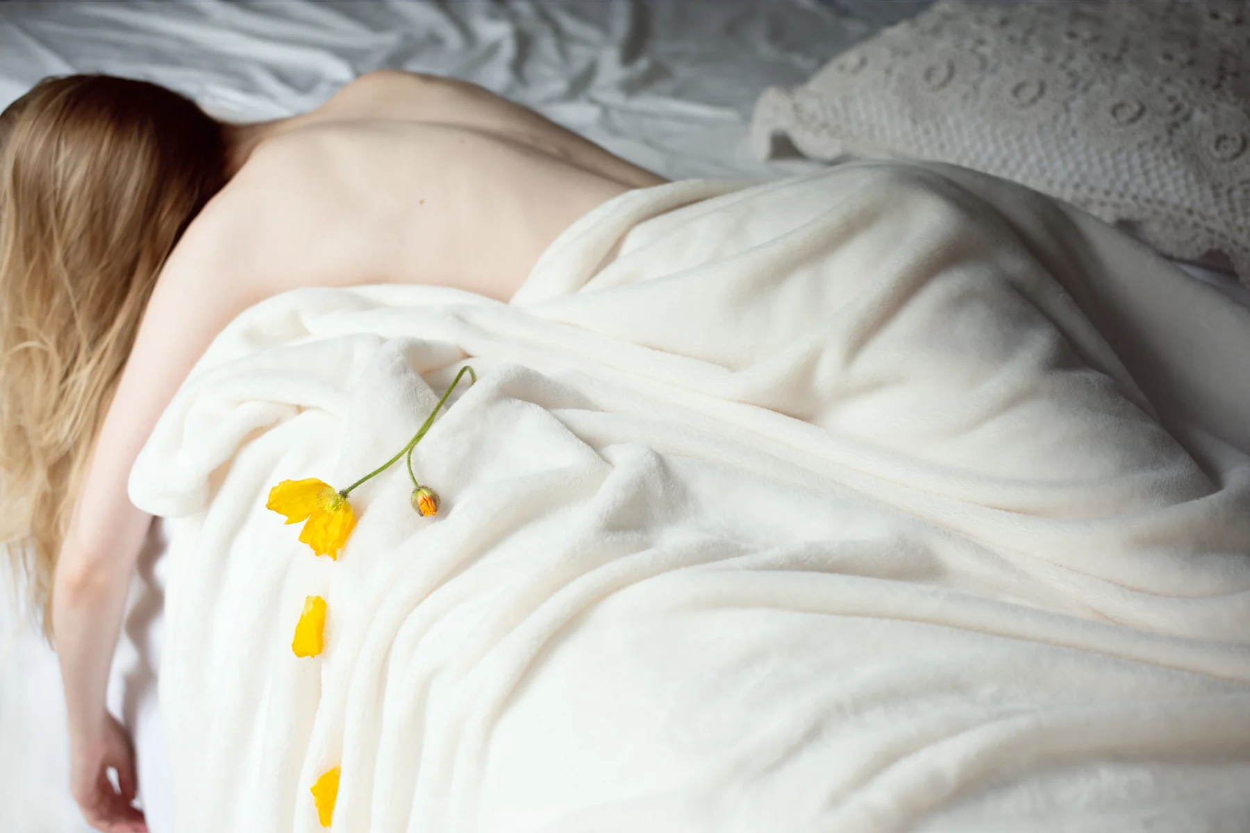 Nap with Poppies_germaine persinger.jpg