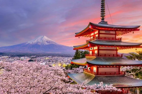 Japan blossoms.jpg