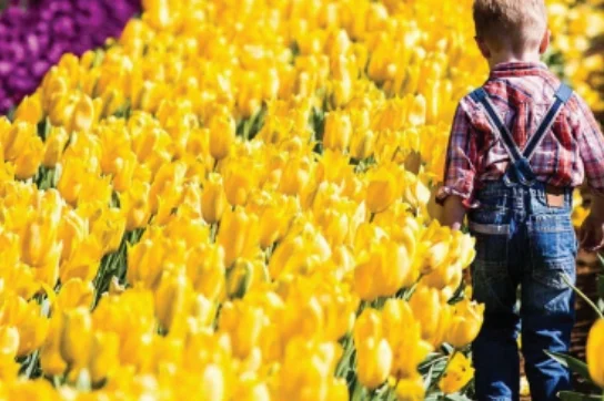 2019 - The year of adventure