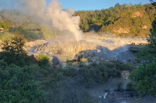 Coach travel like you've never done it before, in amazing New Zealand