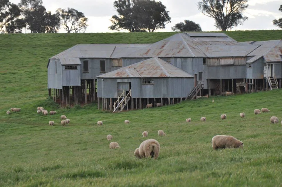 OLD ERROWANBANG WOOLSHED