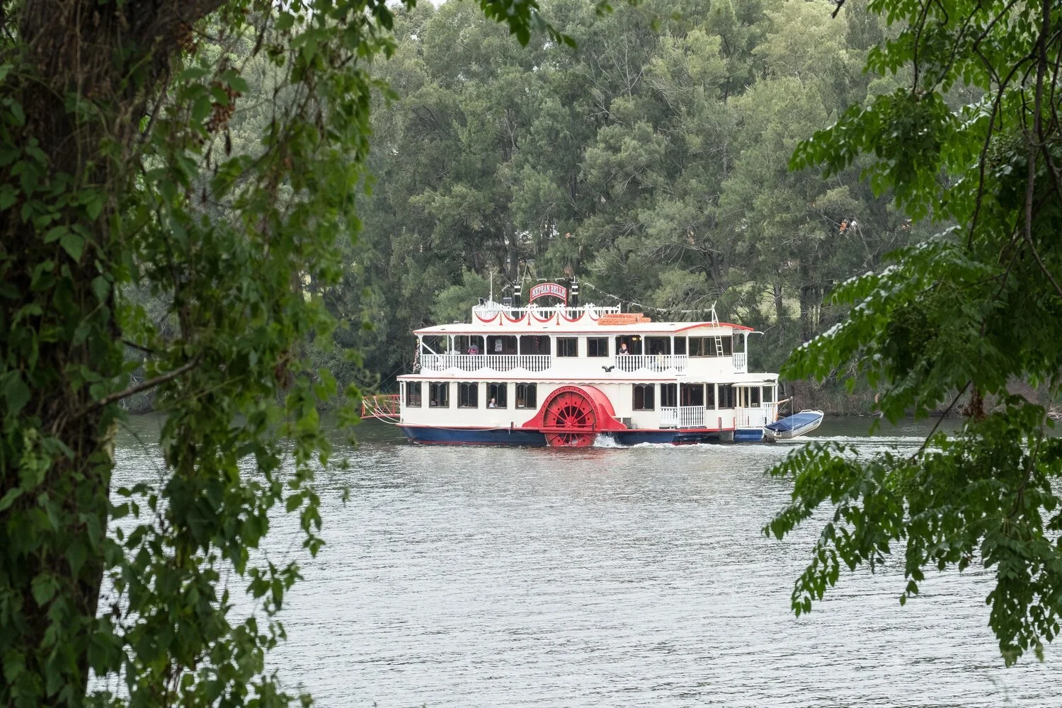 CAMDEN & THE NEPEAN