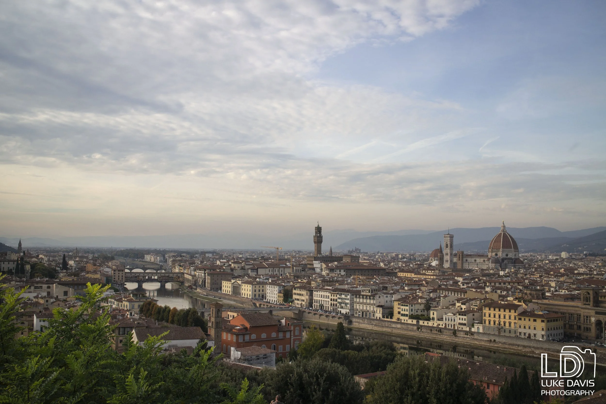 IMG_1943 copy 2.jpg