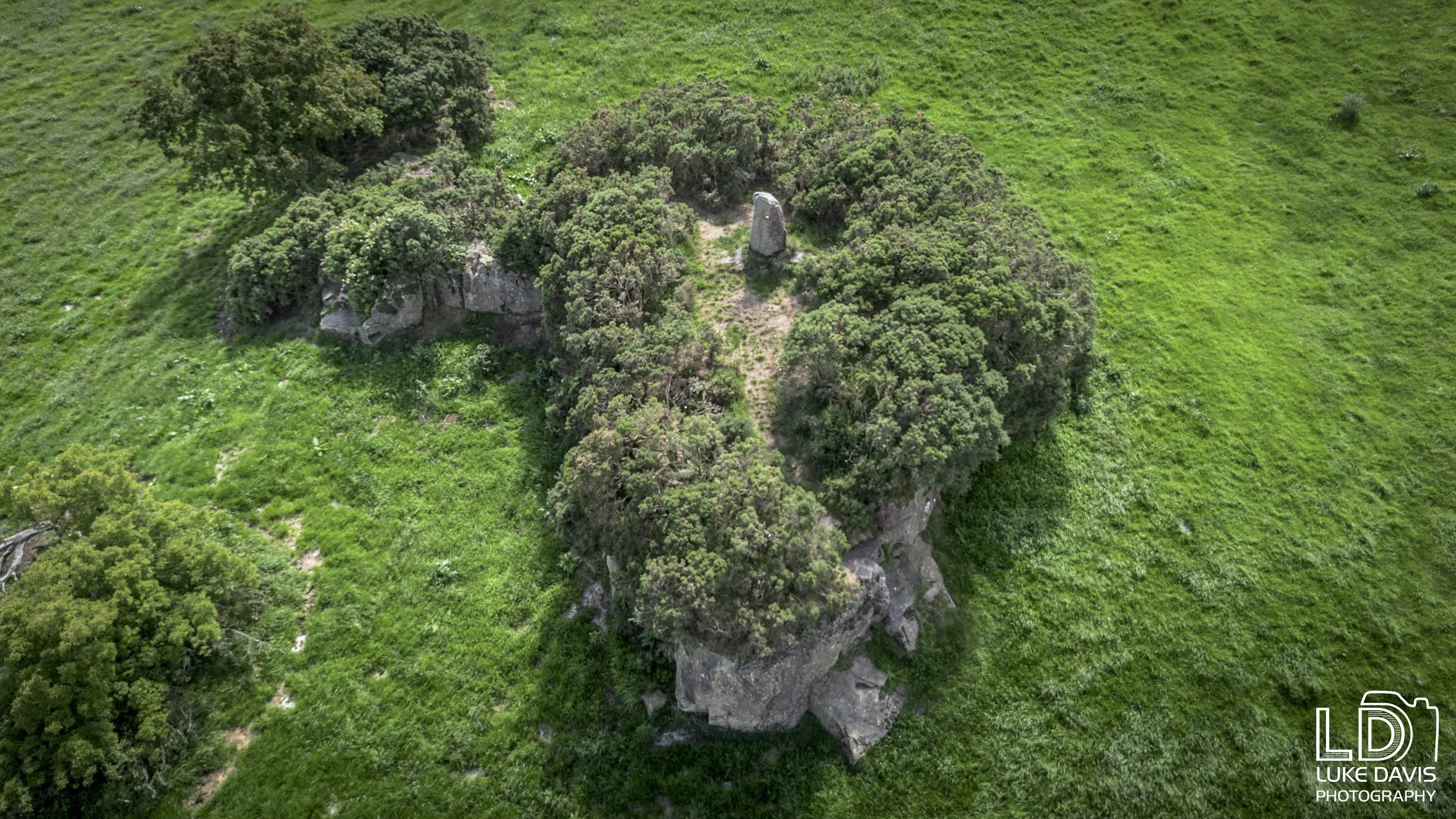 DJI_0100 copy 2.jpg