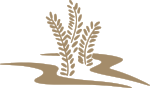 TwoRivers_logomark_transparentbg.png