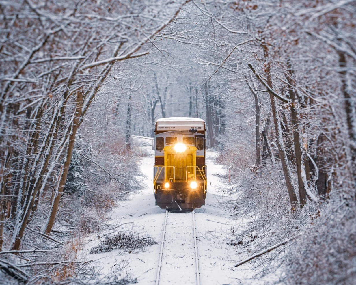 01 NSHR 1948 Brodie.jpeg