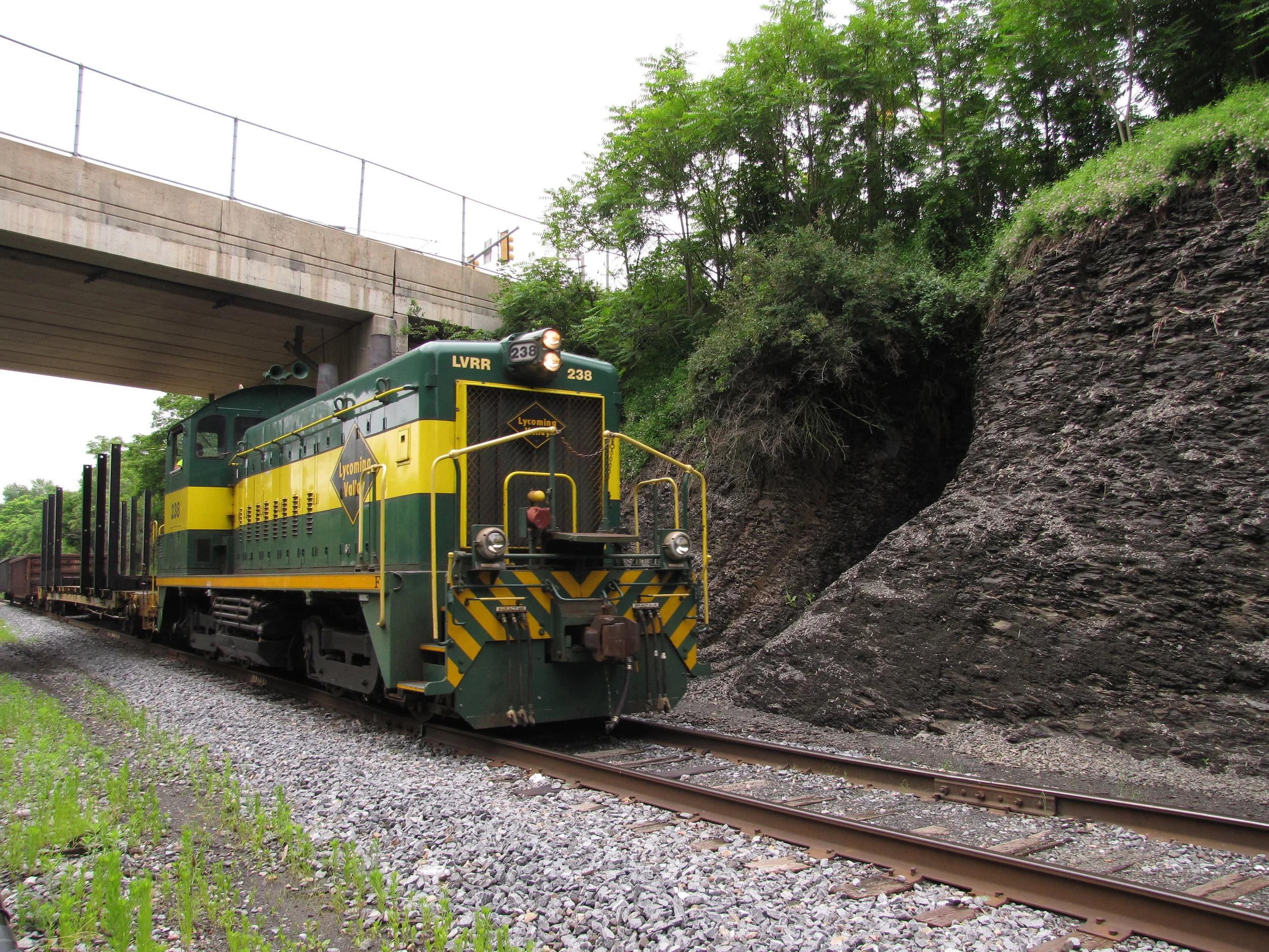 07 2017 July - Tyler Fenderson.JPG