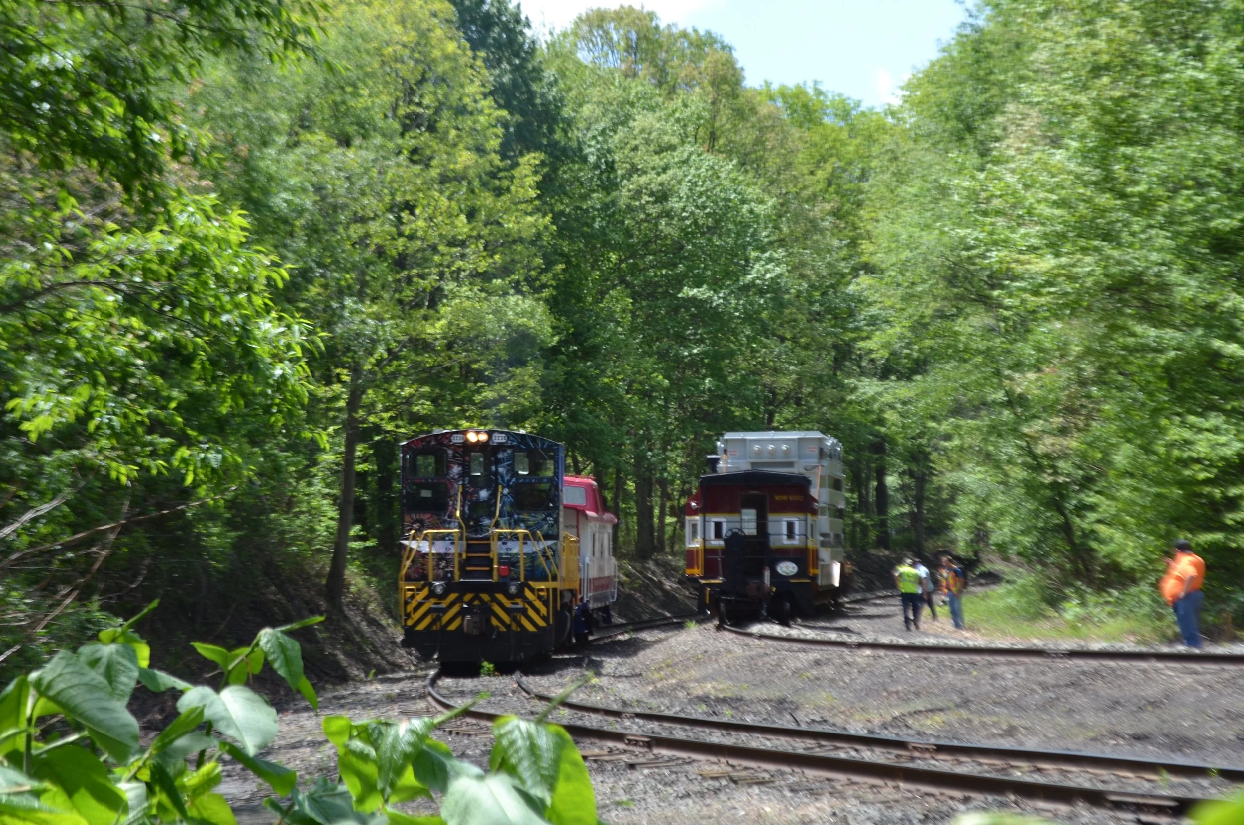 22381776n.jpg