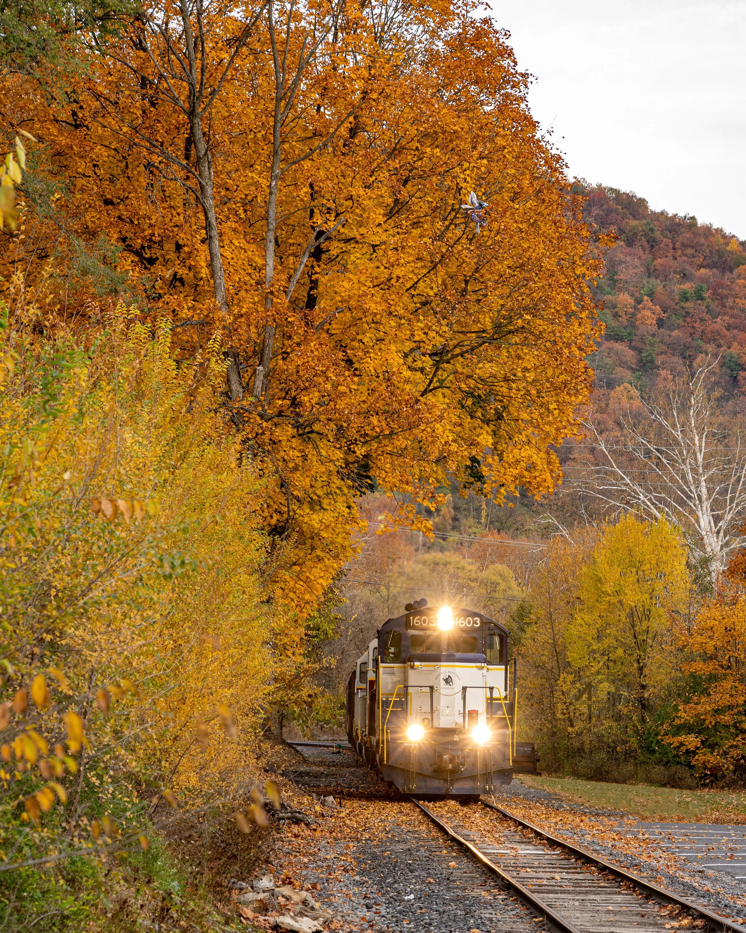 10 Oct - NBER 1603 - Max Harris.jpg