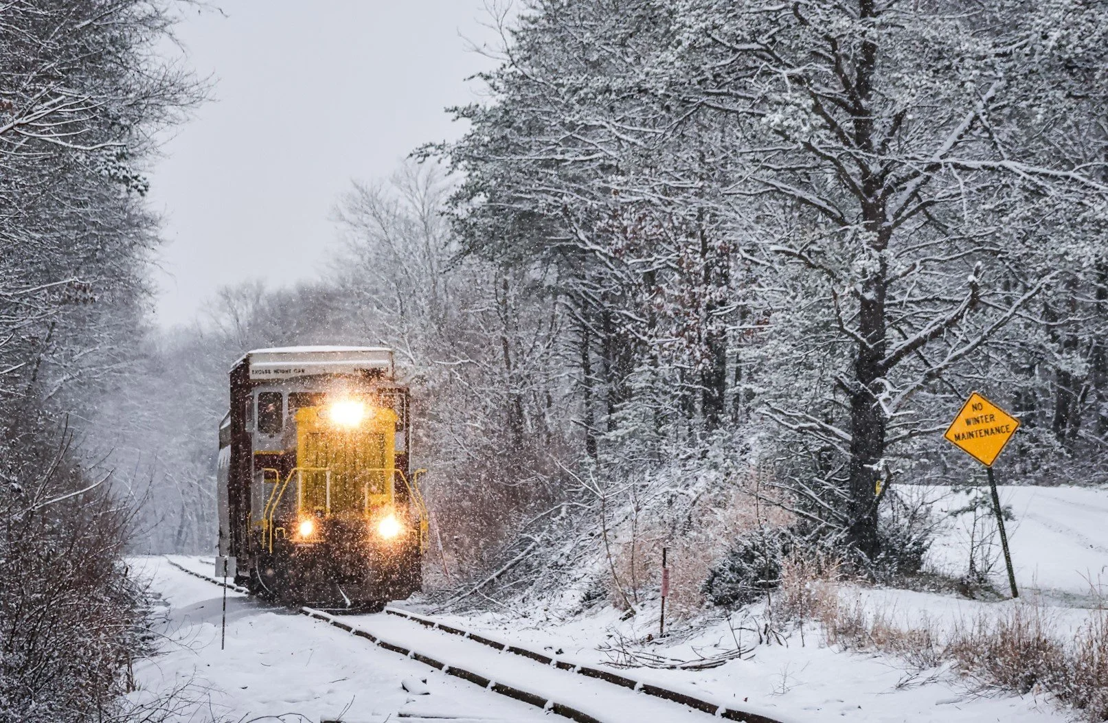 12 December_NSHR 1948_Ethan Brodie.jpeg