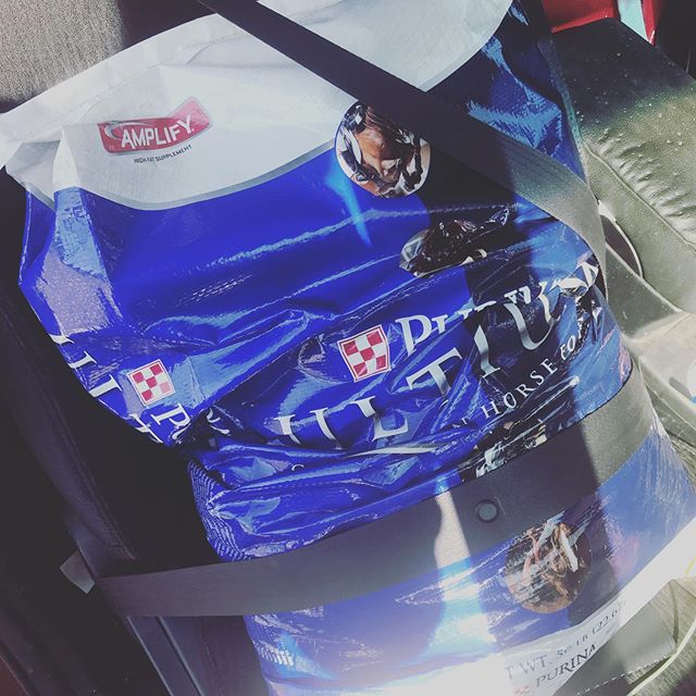 When you think you can squeeze in one more bag, but it sets the seatbelt alarm off. #safetravels #lovesubaru