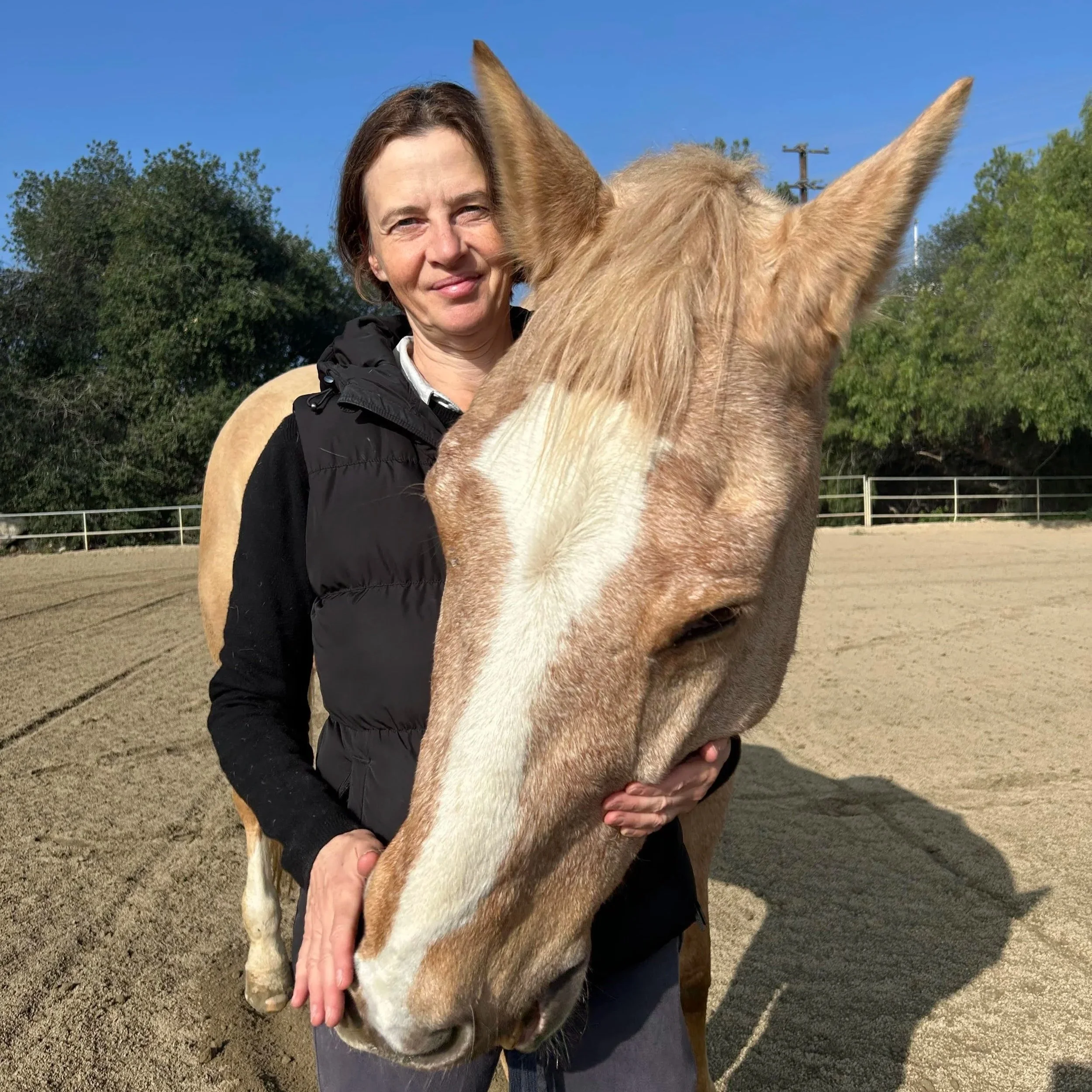 Antónia Szabari - Director