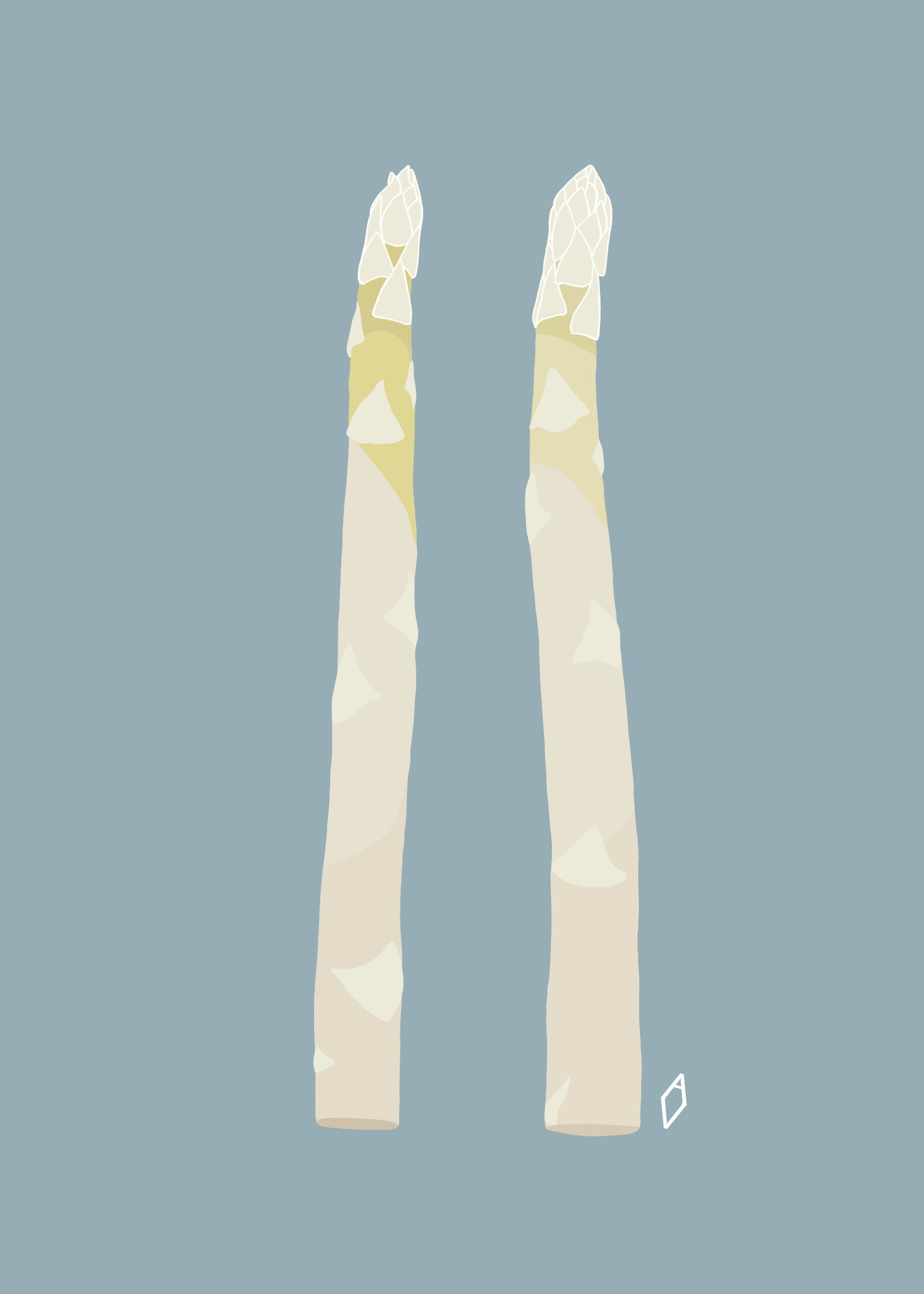 White Asparagus.png