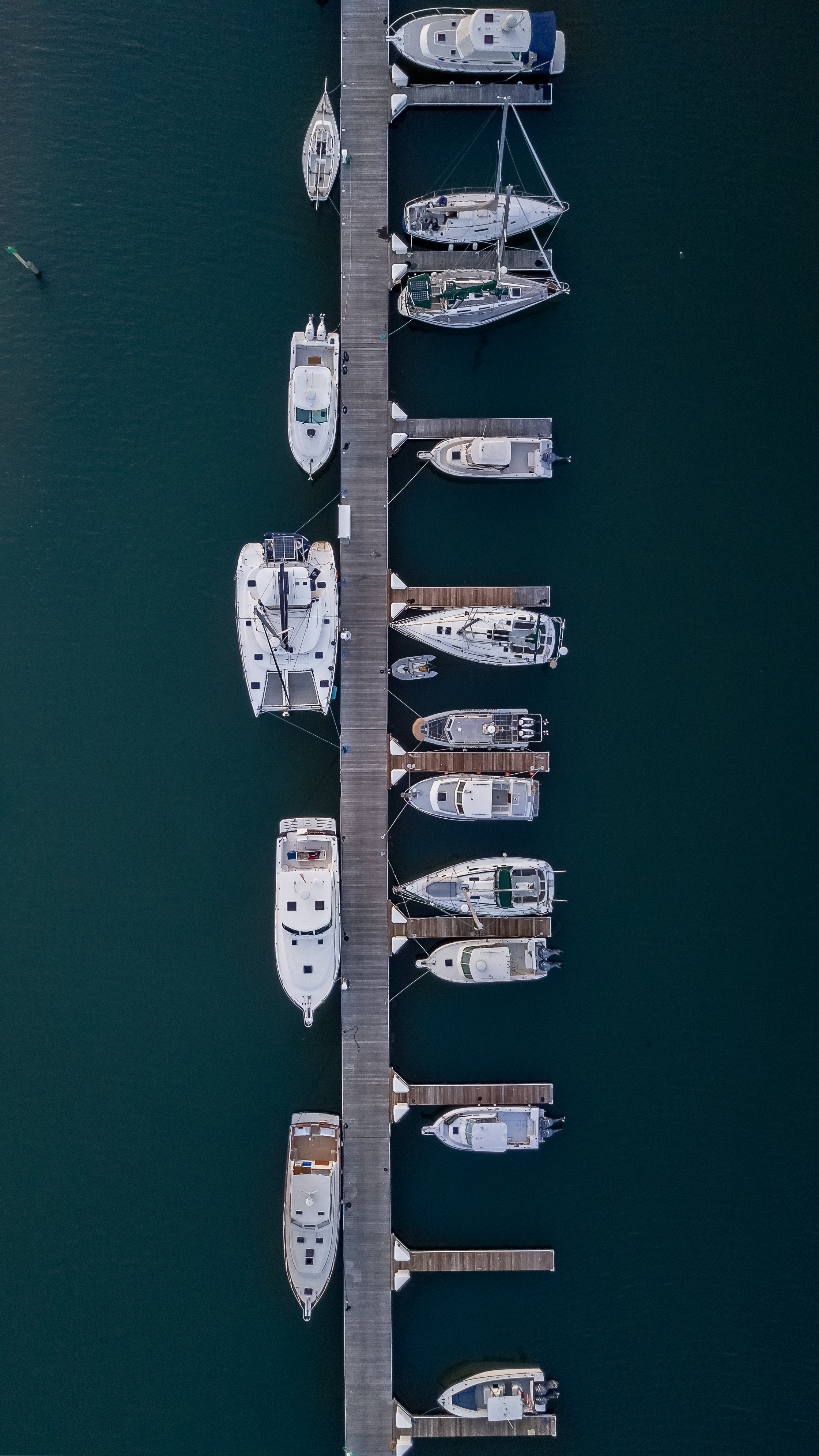backcove_docks.jpg
