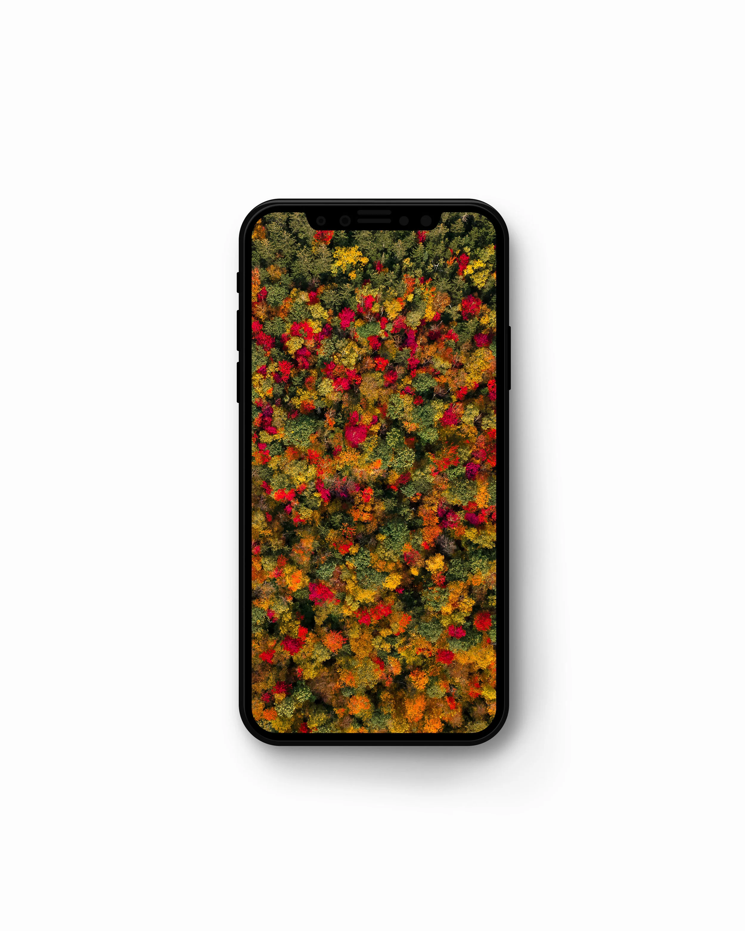 nh_foliage_topdown_mock.jpg
