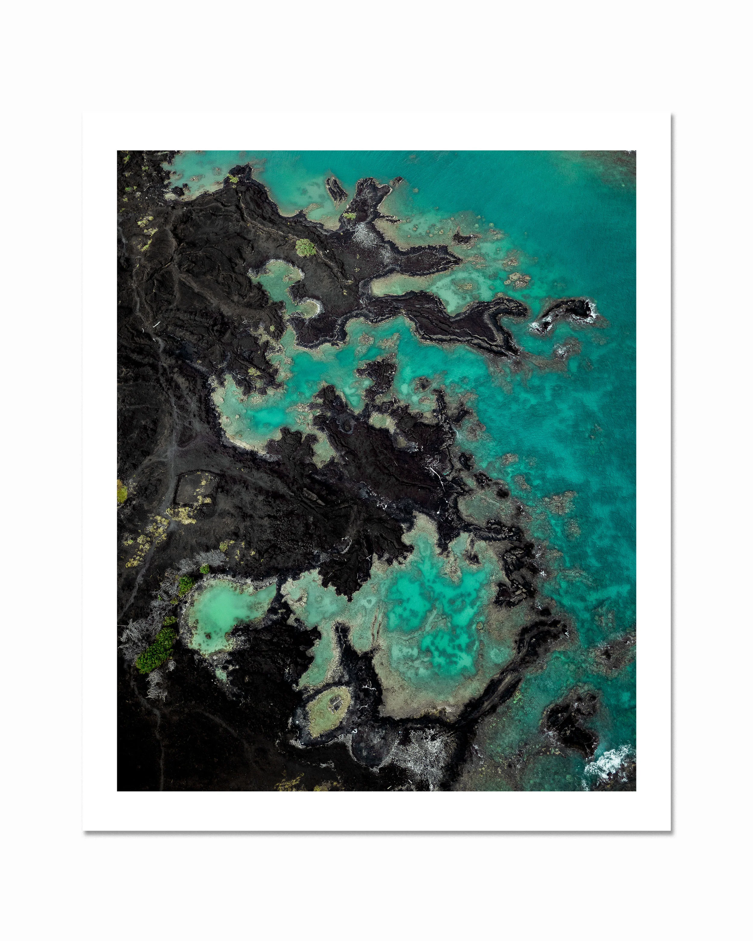 la_perouse_bay_print.jpg