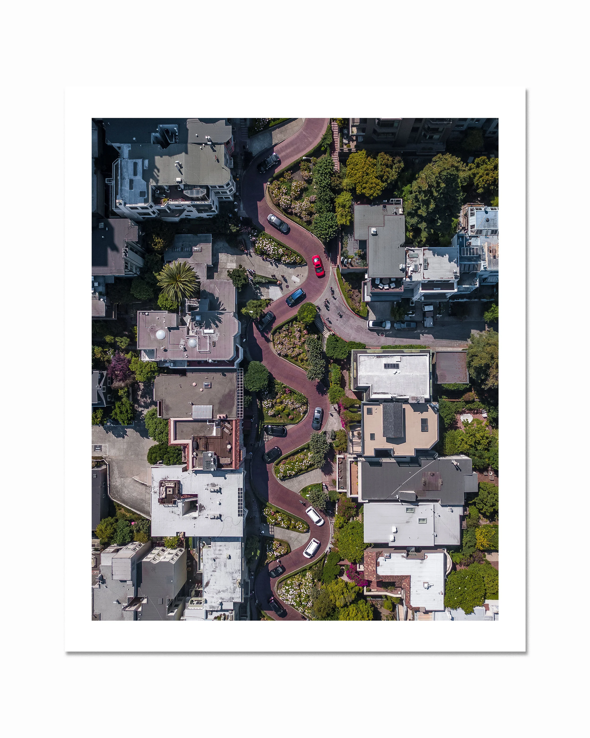 lombard_topdown_print.jpg
