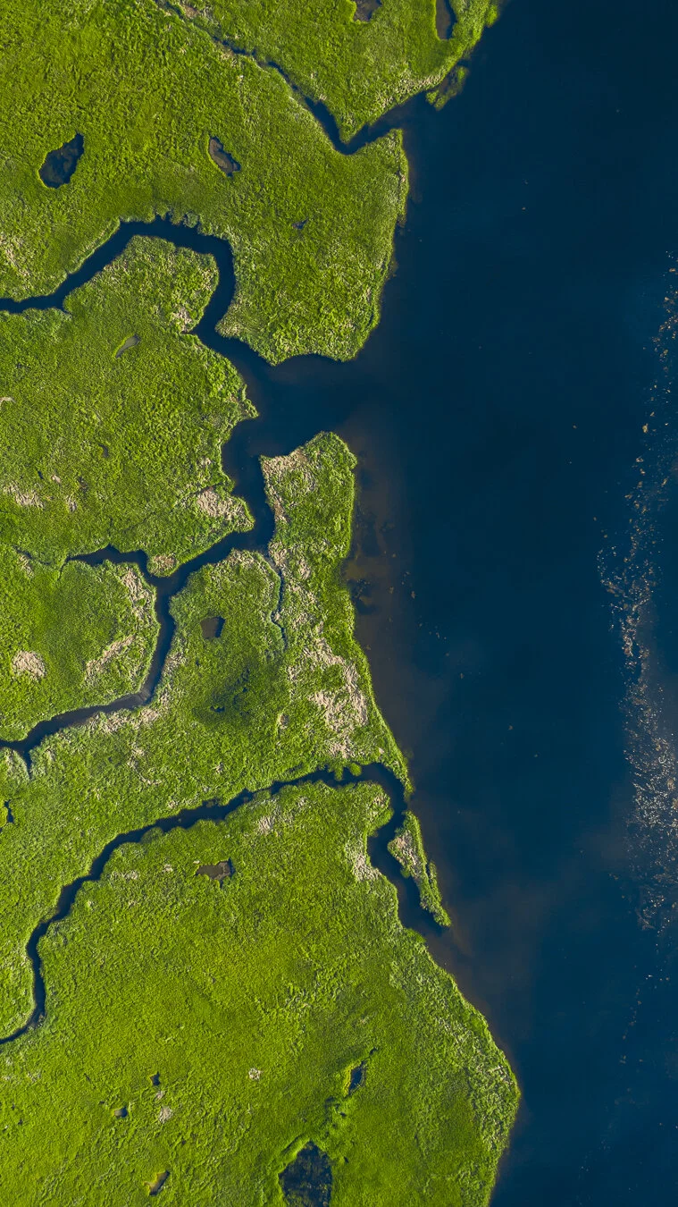 scarborough_marsh_topdown.jpg