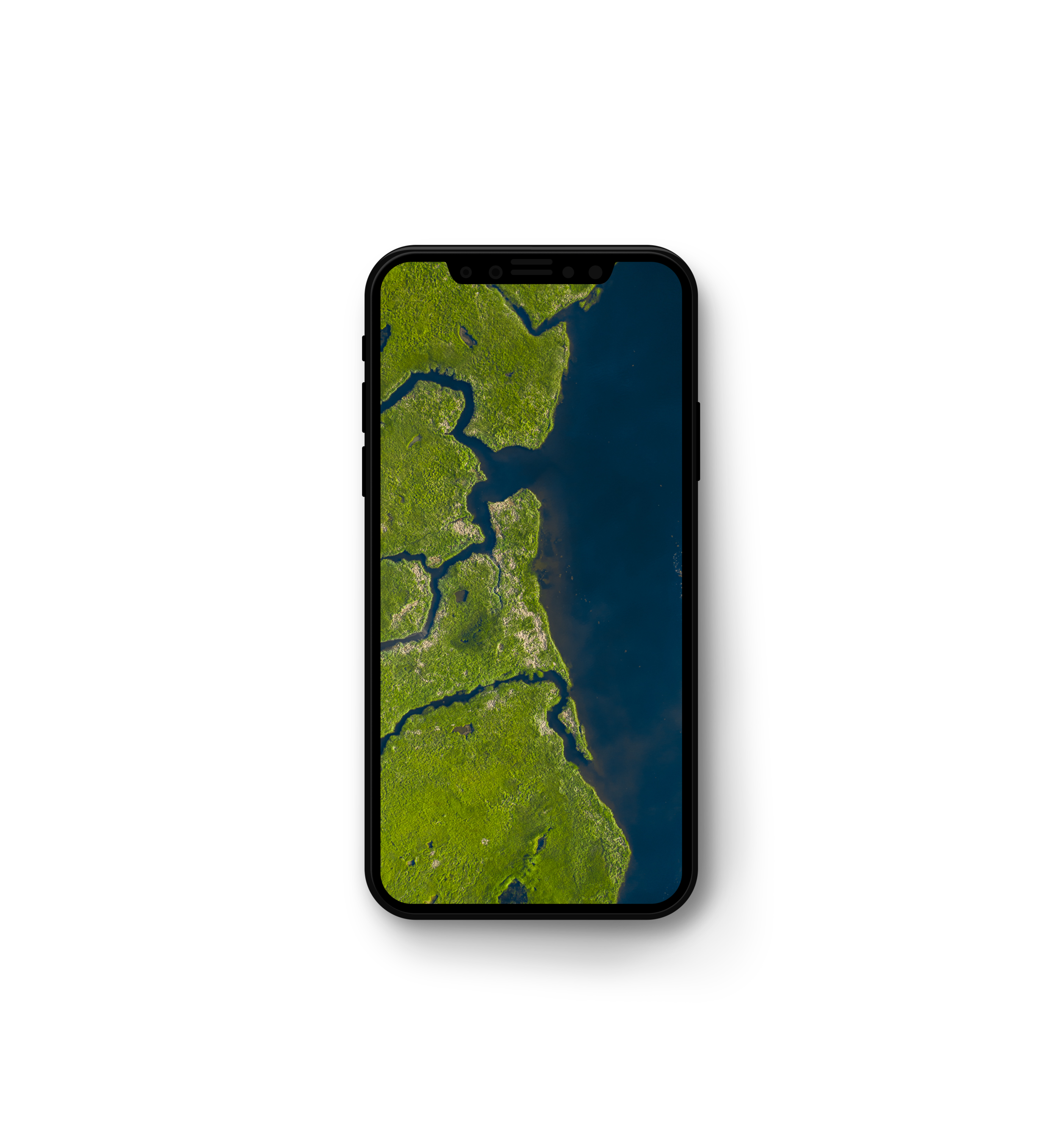 scarborough_marsh_topdown_mockup.png