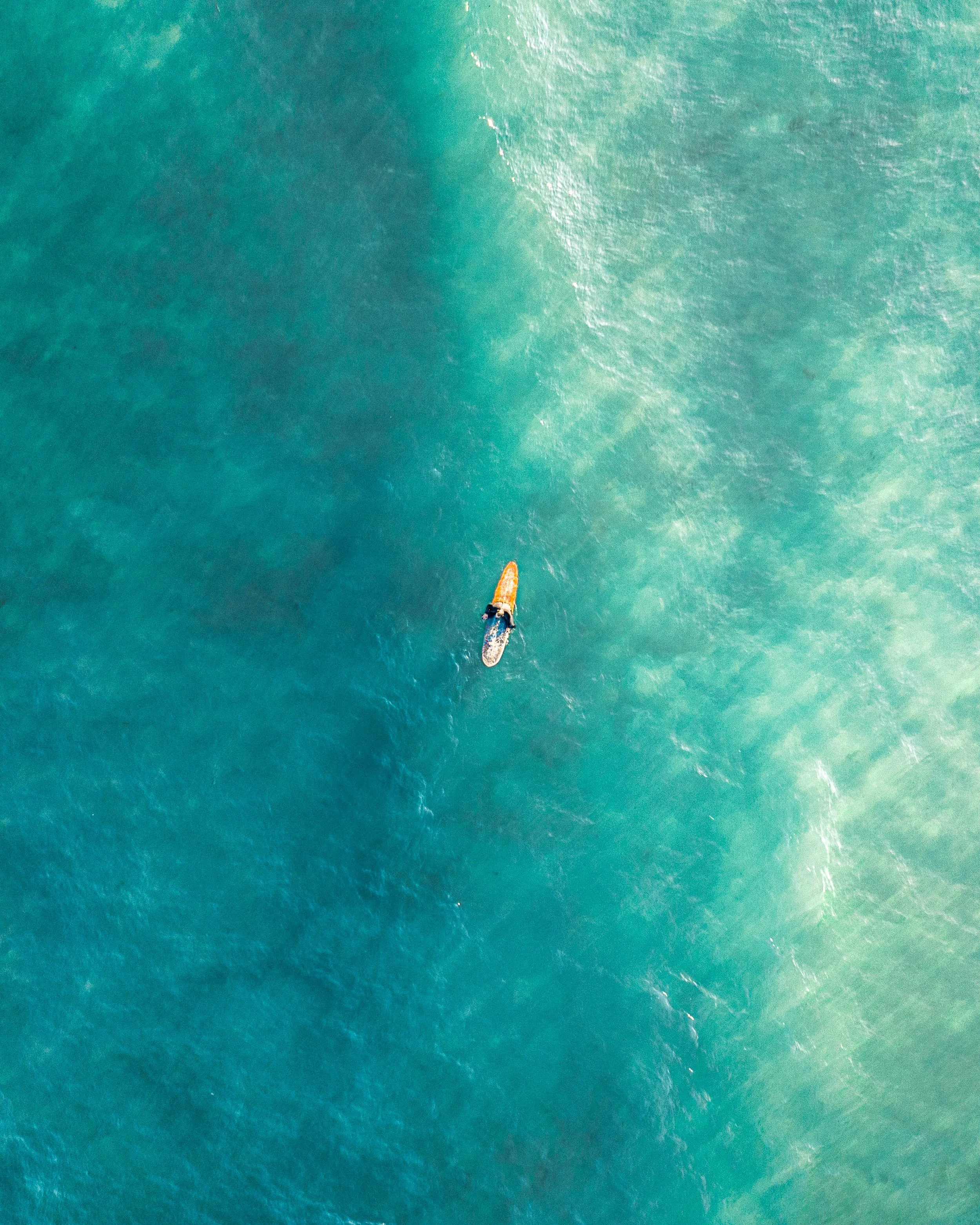 higgins_beach_surfer_web.jpg