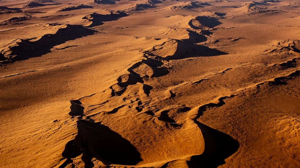 Every shifting dune edge, seen from above, casting shade
