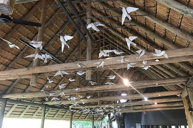 Leaving Skukuza once again after 3 days of bush pampering at &amp;Beyond Kirkmans Kamp. Here we see the international departure lounge with floating birds....
&bull;
&bull;
#krugernationalpark #andbeyond #wildlife #photography #edbrazphotography